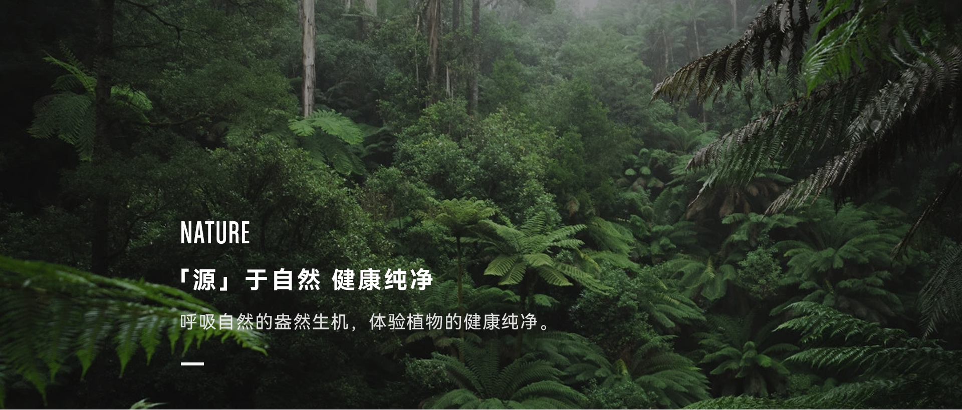 Stockwell品牌介紹
